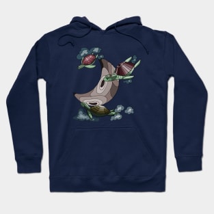 sky turtles Hoodie